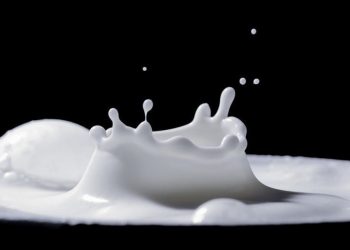 Susu (Antara/Pixabay)