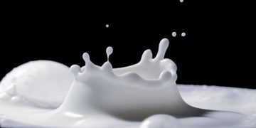 Susu (Antara/Pixabay)
