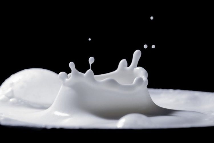 Susu (Antara/Pixabay)
