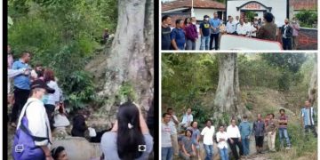 Gambar "Mual" Pauseang di Lumban Sialaman, Kecamatan Muara Kab. Tapanuli utara (ANTARA/Imran Napitupulu)