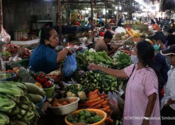 ILUSTRASI. Kementan klaim ketersediaan pangan aman hingga akhir Mei 2021